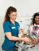 Best pet spaying and neutering services in Dubai 