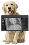 Pets X rays Dubai 