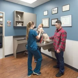 Surgery clinic for pets in Dubai 