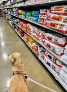 Best store for pets food in Dubai 