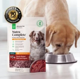 Veterinary diets for dogs in Dubai