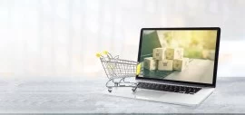 Investment into an e-commerce platform 