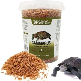 Best food store for pet turtles in Dubai