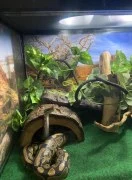 Pet store for snakes 