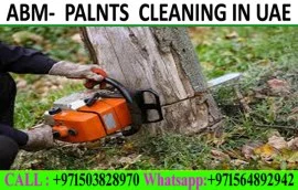 Garden cleaning & Maintenance Contractor 