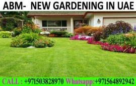 Irrigation & Landscaping Services in Dubai Ajm