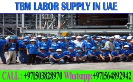 Daily Basic labor supply in Ajman Dubai Sharjah 