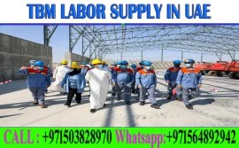 Manpower Supply Company Ajman Dubai Sharjah Abudha