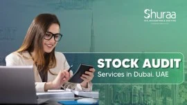 Stock Audit Services in Dubai, UAE