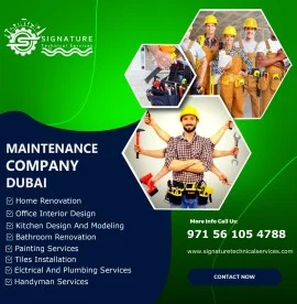 Painting Services In Dubai