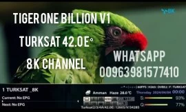 Tiger one billion v1 4k Android 