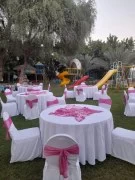 Rentals Chairs Are Available For Events In Dubai