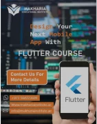 Mobile App Developer (Flutter) call 0568723609