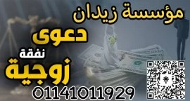 اشهر محامي دعوى النفقه الزوجيه في مصر 