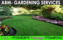 Villa Landscaping Service in Dubai Ajman Sharjah	