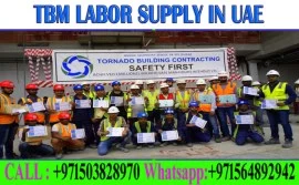 Daily Basic labor supply in Ajman Dubai Sharjah Ab